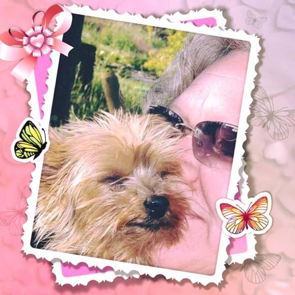 Meet your Posher, Glenda